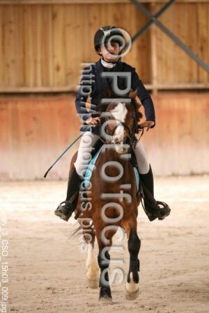 Poney_3_CSO_15h03_009.jpg