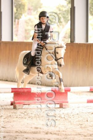 Poney_3_CSO_15h04_013.jpg