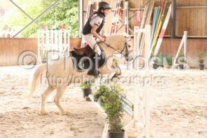 Poney_3_CSO_15h04_014.jpg