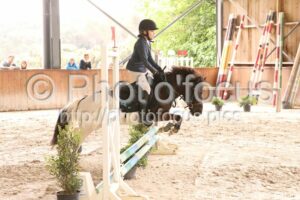 Poney_3_CSO_15h08_031.jpg