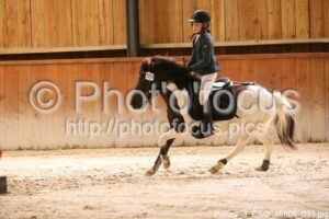 Poney_3_CSO_15h08_033.jpg