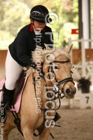 Poney_3_CSO_15h11_045.jpg