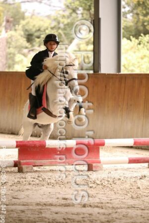 Poney_3_CSO_15h12_047.jpg