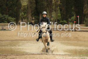 Poney_3_Cross_17h21_003.jpg