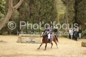 Poney_3_Cross_17h29_029.jpg