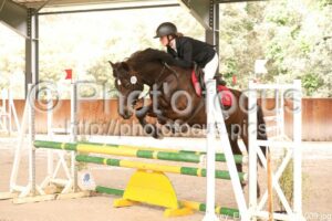 Poney_Elite_CSO_16h15_009.jpg