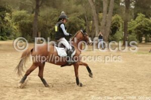 Poney_Elite_Cross_11h55_003.jpg