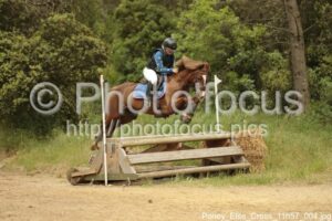 Poney_Elite_Cross_11h57_004.jpg