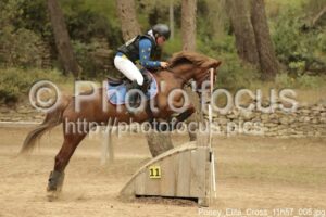 Poney_Elite_Cross_11h57_005.jpg