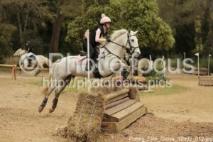 Poney_Elite_Cross_12h02_012.jpg