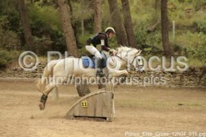 Poney_Elite_Cross_12h04_015.jpg
