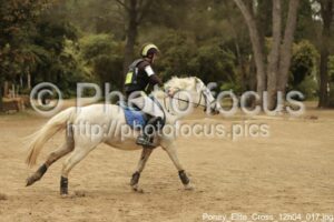 Poney_Elite_Cross_12h04_017.jpg