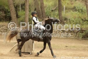 Poney_Elite_Cross_12h06_018.jpg