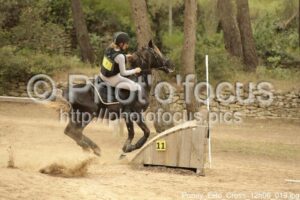 Poney_Elite_Cross_12h06_019.jpg