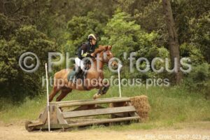 Poney_Elite_Cross_12h07_023.jpg