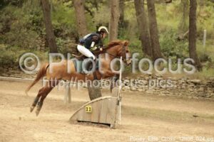 Poney_Elite_Cross_12h08_024.jpg