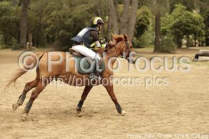 Poney_Elite_Cross_12h08_026.jpg