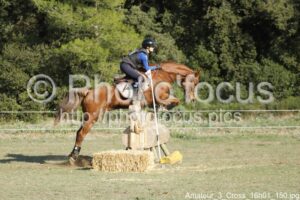 Amateur_3_Cross_16h01_150.jpg