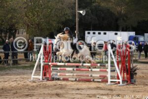 Poney_1_CSO_15h18_001.jpg