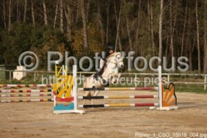 Poney_1_CSO_15h18_004.jpg