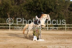 Poney_1_CSO_15h18_005.jpg