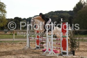 Poney_1_CSO_15h19_010.jpg