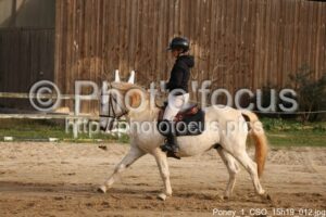 Poney_1_CSO_15h19_012.jpg