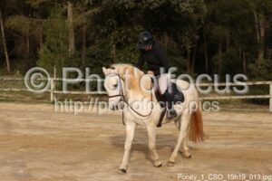 Poney_1_CSO_15h19_013.jpg