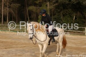 Poney_1_CSO_15h19_015.jpg