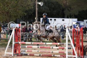 Poney_1_CSO_15h19_017.jpg