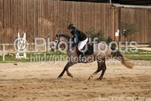 Poney_1_CSO_15h21_027.jpg
