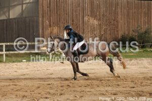 Poney_1_CSO_15h21_028.jpg