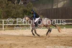 Poney_1_CSO_15h21_029.jpg
