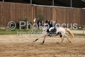 Poney_1_CSO_15h24_064.jpg