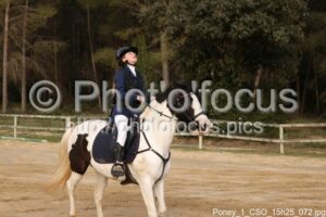 Poney_1_CSO_15h25_072.jpg