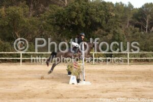 Poney_1_CSO_15h26_080.jpg