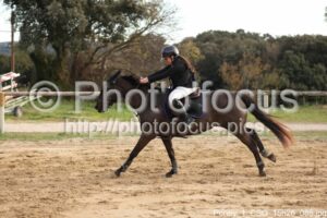 Poney_1_CSO_15h26_085.jpg