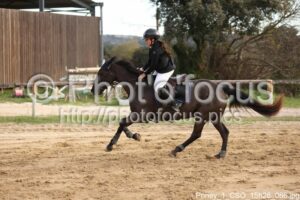 Poney_1_CSO_15h26_086.jpg