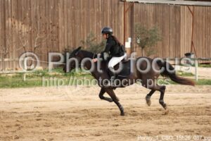 Poney_1_CSO_15h26_087.jpg