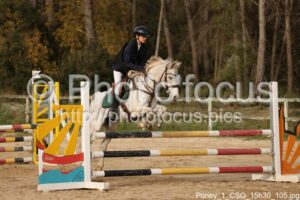 Poney_1_CSO_15h30_105.jpg