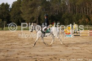 Poney_1_CSO_15h31_113.jpg