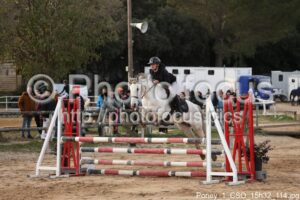 Poney_1_CSO_15h32_114.jpg