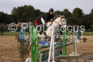 Poney_1_CSO_15h33_120.jpg