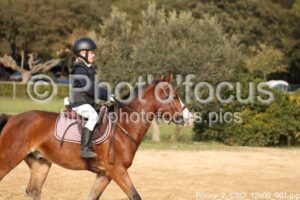 Poney_2_CSO_12h00_001.jpg