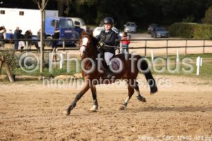 Poney_2_CSO_12h00_003.jpg