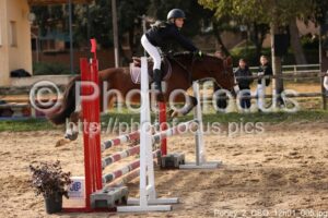 Poney_2_CSO_12h01_005.jpg
