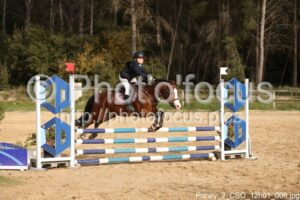 Poney_2_CSO_12h01_006.jpg