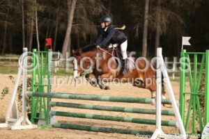 Poney_2_CSO_12h01_008.jpg