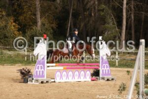 Poney_2_CSO_12h01_009.jpg