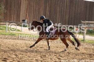 Poney_2_CSO_12h02_013.jpg